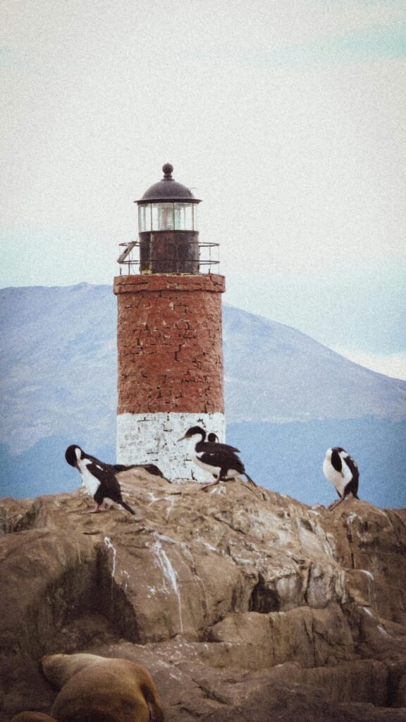 beagle channel tour ushuaia boat